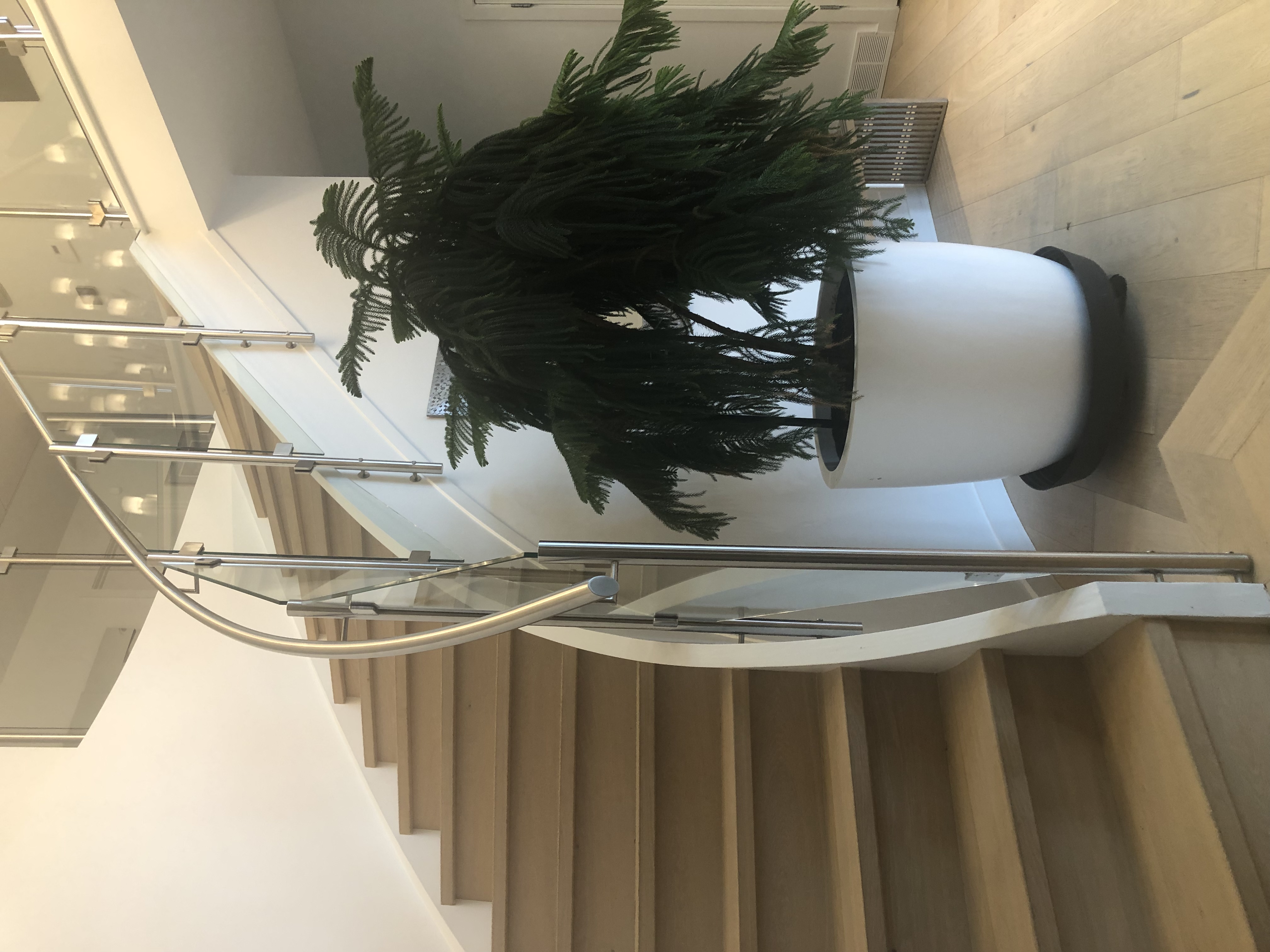 Stainless Steel Railing Project